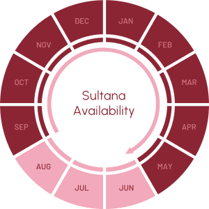 SULTANA GRAPH - agriberry