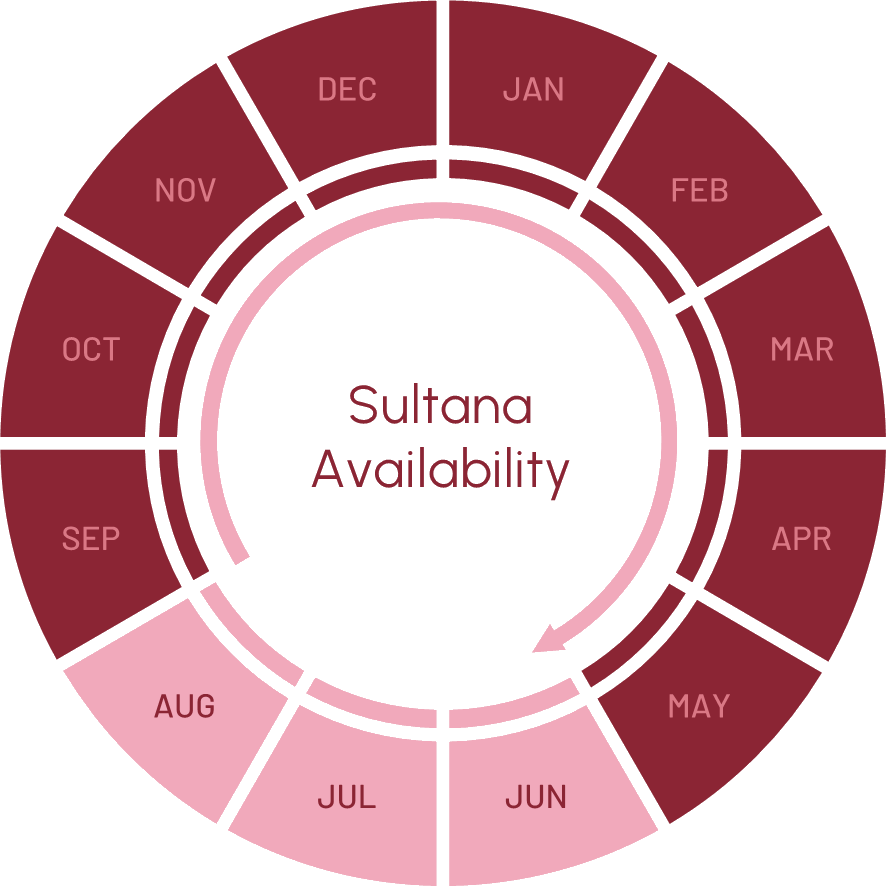 SULTANA GRAPH - agriberry