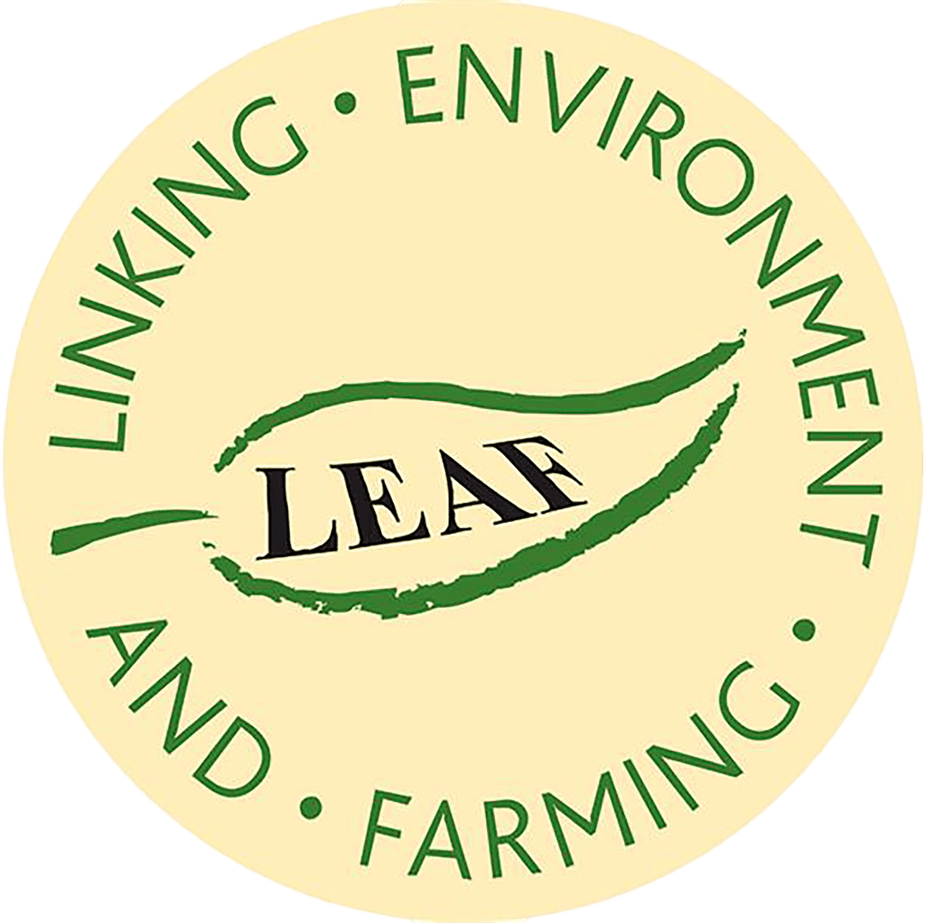 leaf logo